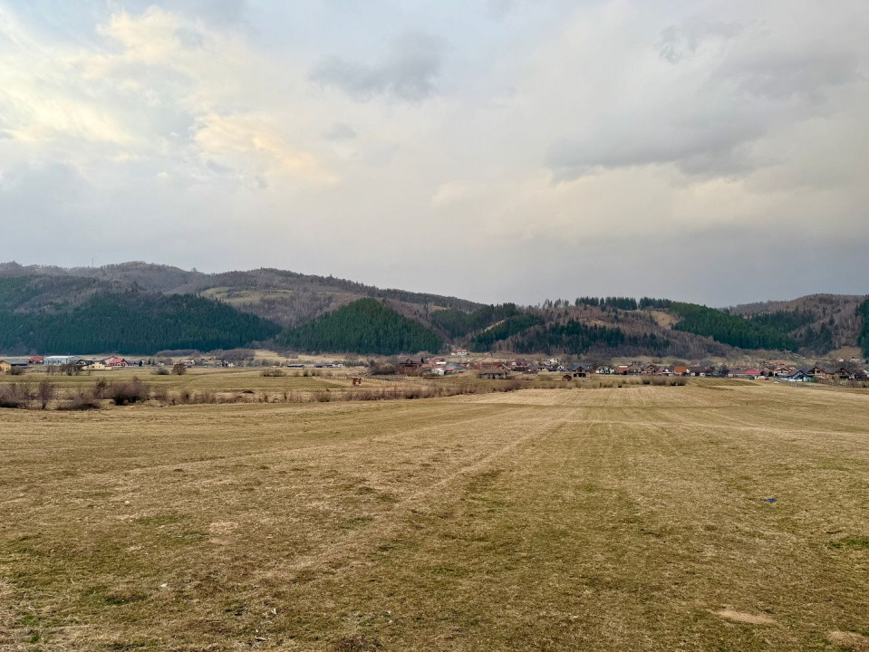 Terenuri de vanzare Zarnesti 1