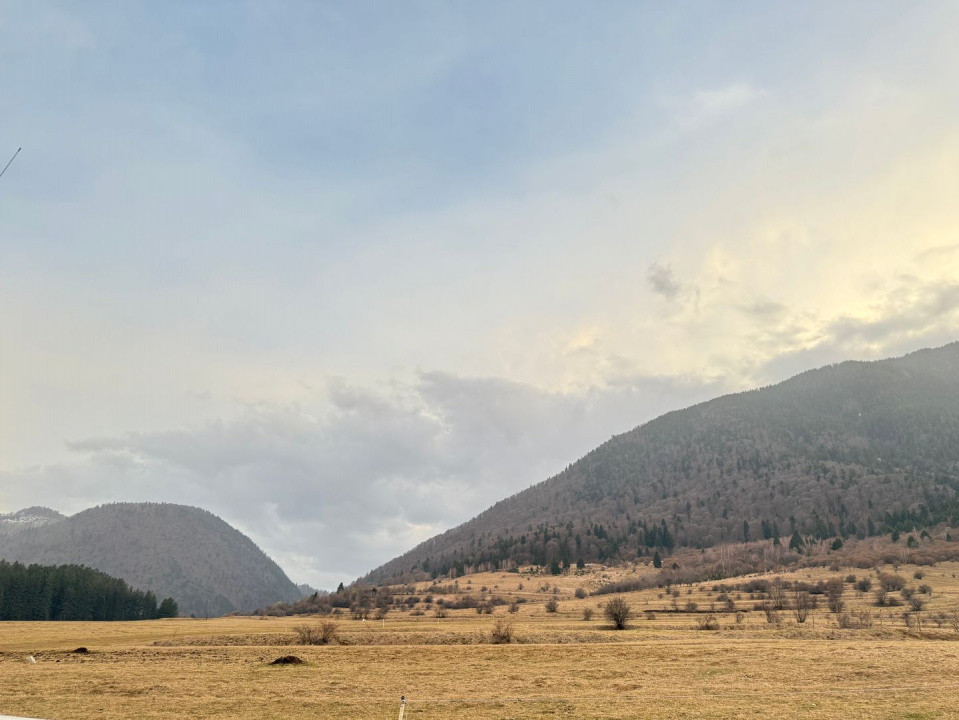 Terenuri de vanzare Zarnesti 2