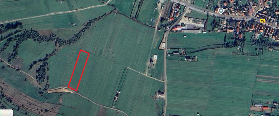 Terenuri de vanzare Zarnesti 5