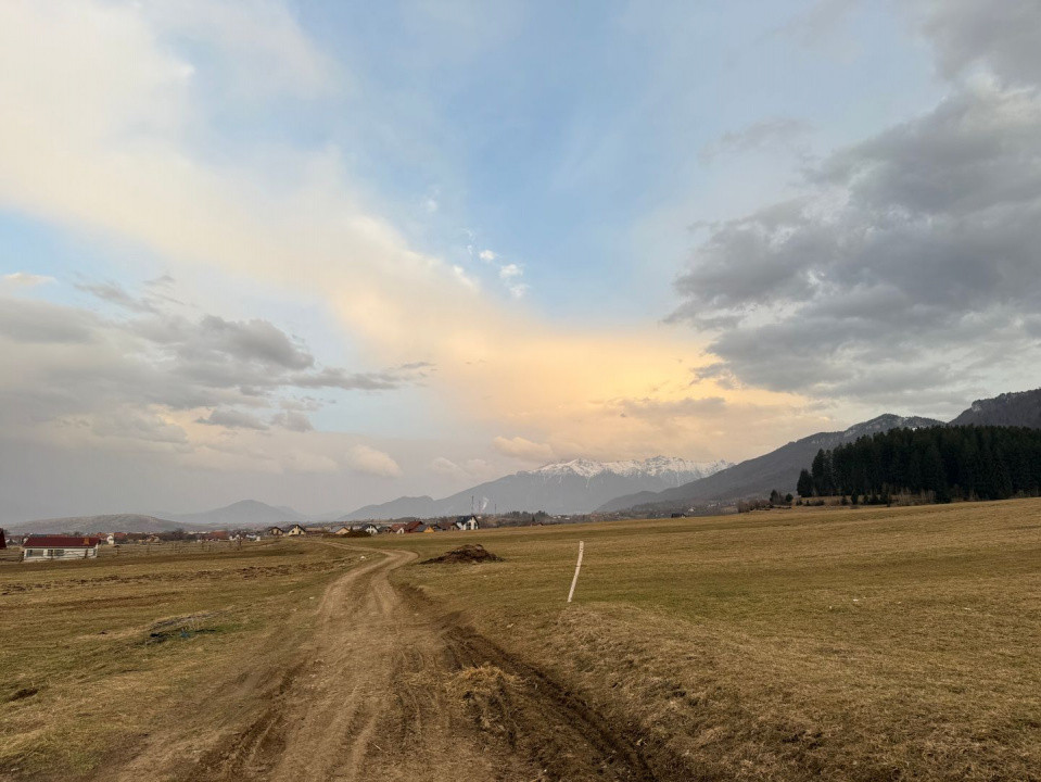 Terenuri de vanzare Zarnesti 6