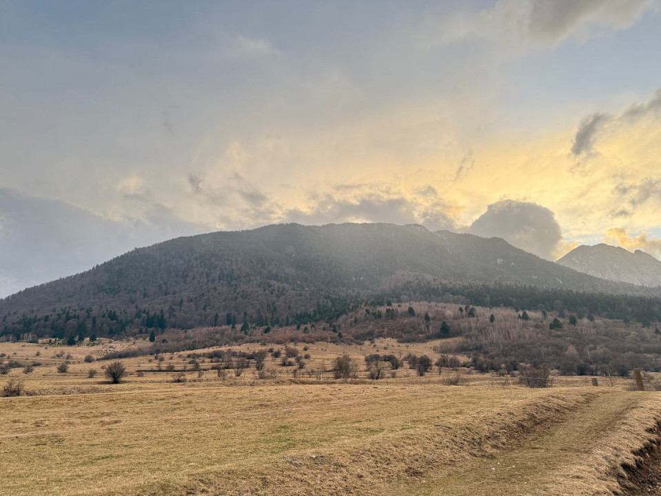 Terenuri de vanzare Zarnesti 8