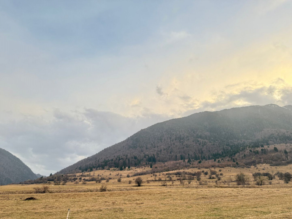 Terenuri de vanzare Zarnesti 9