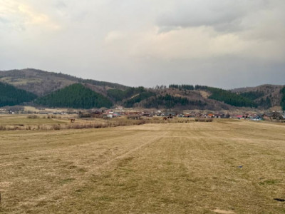 Terenuri de vanzare Zarnesti imagine mica 4