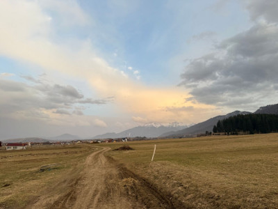 Terenuri de vanzare Zarnesti imagine mica 6