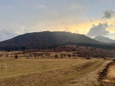 Terenuri de vanzare Zarnesti imagine mica 7