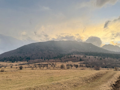 Terenuri de vanzare Zarnesti imagine mica 8