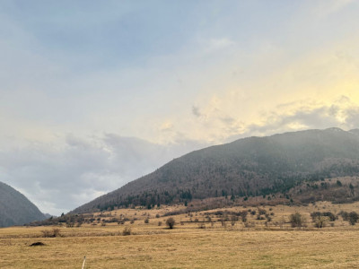 Terenuri de vanzare Zarnesti imagine mica 9