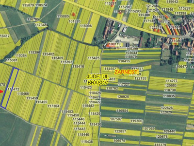 Terenuri de vanzare Zarnesti imagine mica 10