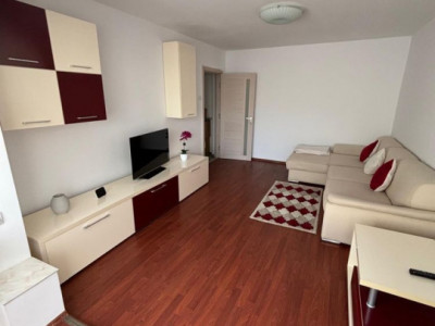Apartament 3 camere Pet friendly, Astra, Brasov