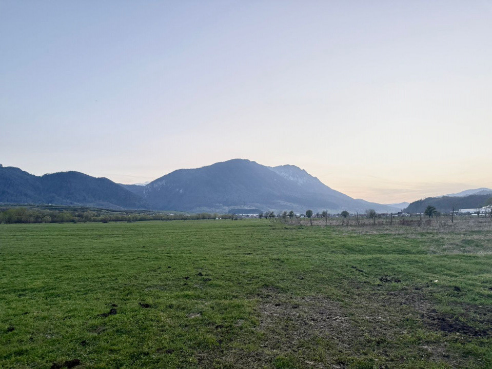 Terenuri de vanzare Zarnesti 1