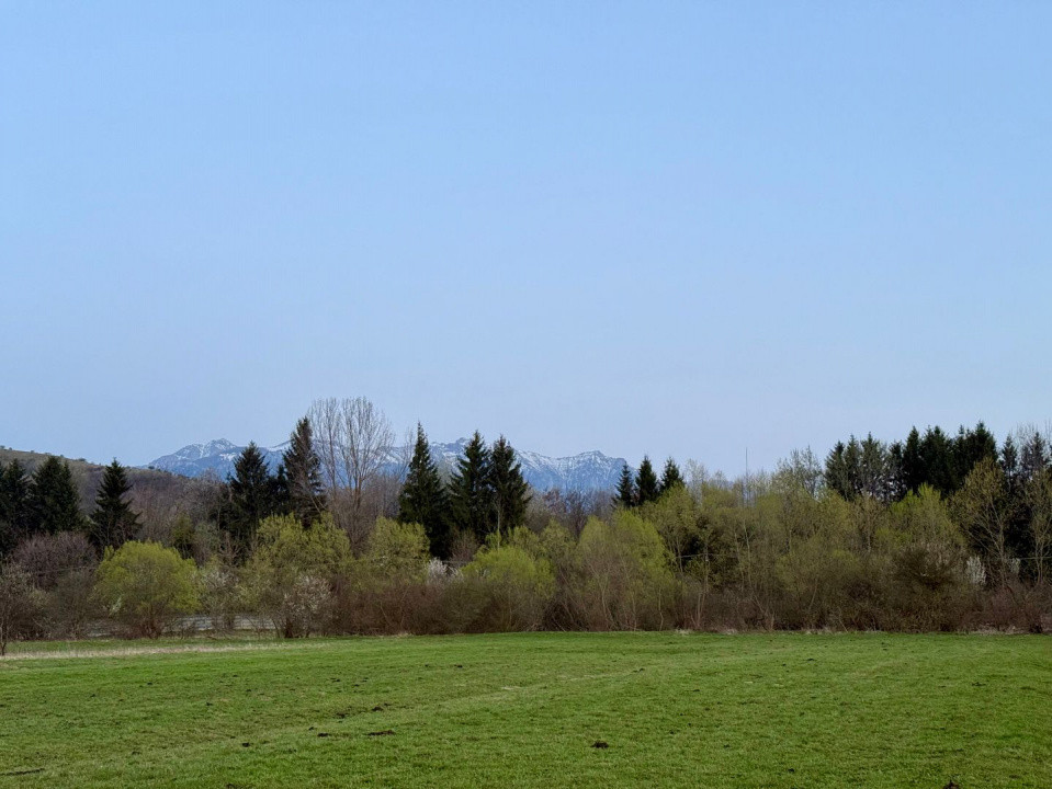 Terenuri de vanzare Zarnesti 2