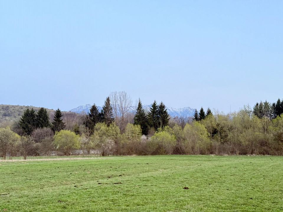 Terenuri de vanzare Zarnesti 6