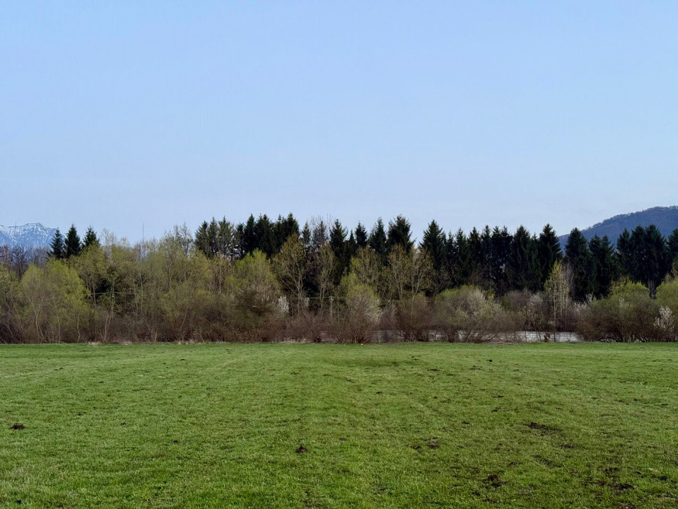 Terenuri de vanzare Zarnesti 7