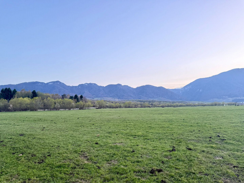 Terenuri de vanzare Zarnesti 8