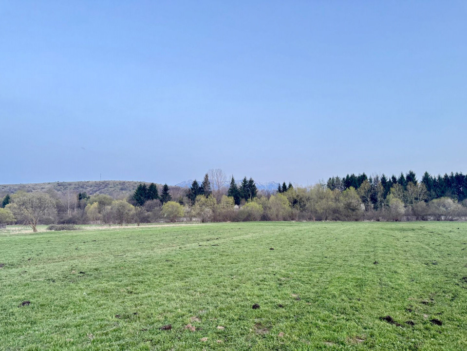Terenuri de vanzare Zarnesti 9