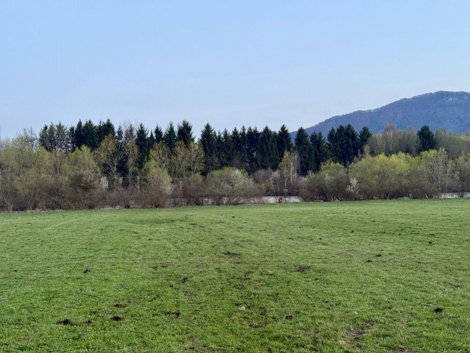 Terenuri de vanzare Zarnesti 10