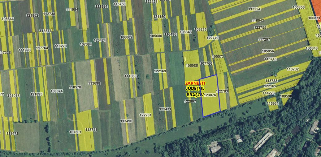 Terenuri de vanzare Zarnesti 11