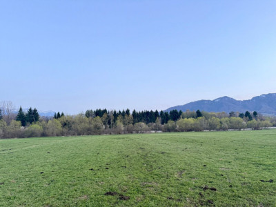 Terenuri de vanzare Zarnesti imagine mica 4