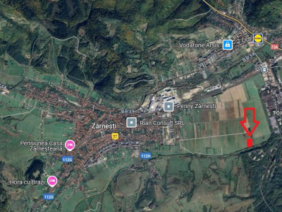 Terenuri de vanzare Zarnesti imagine mica 5