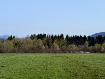 Terenuri de vanzare Zarnesti imagine mica 7