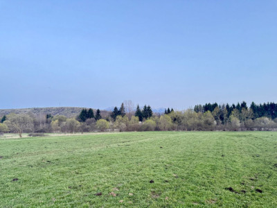 Terenuri de vanzare Zarnesti imagine mica 9