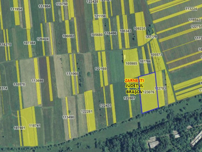 Terenuri de vanzare Zarnesti imagine mica 11